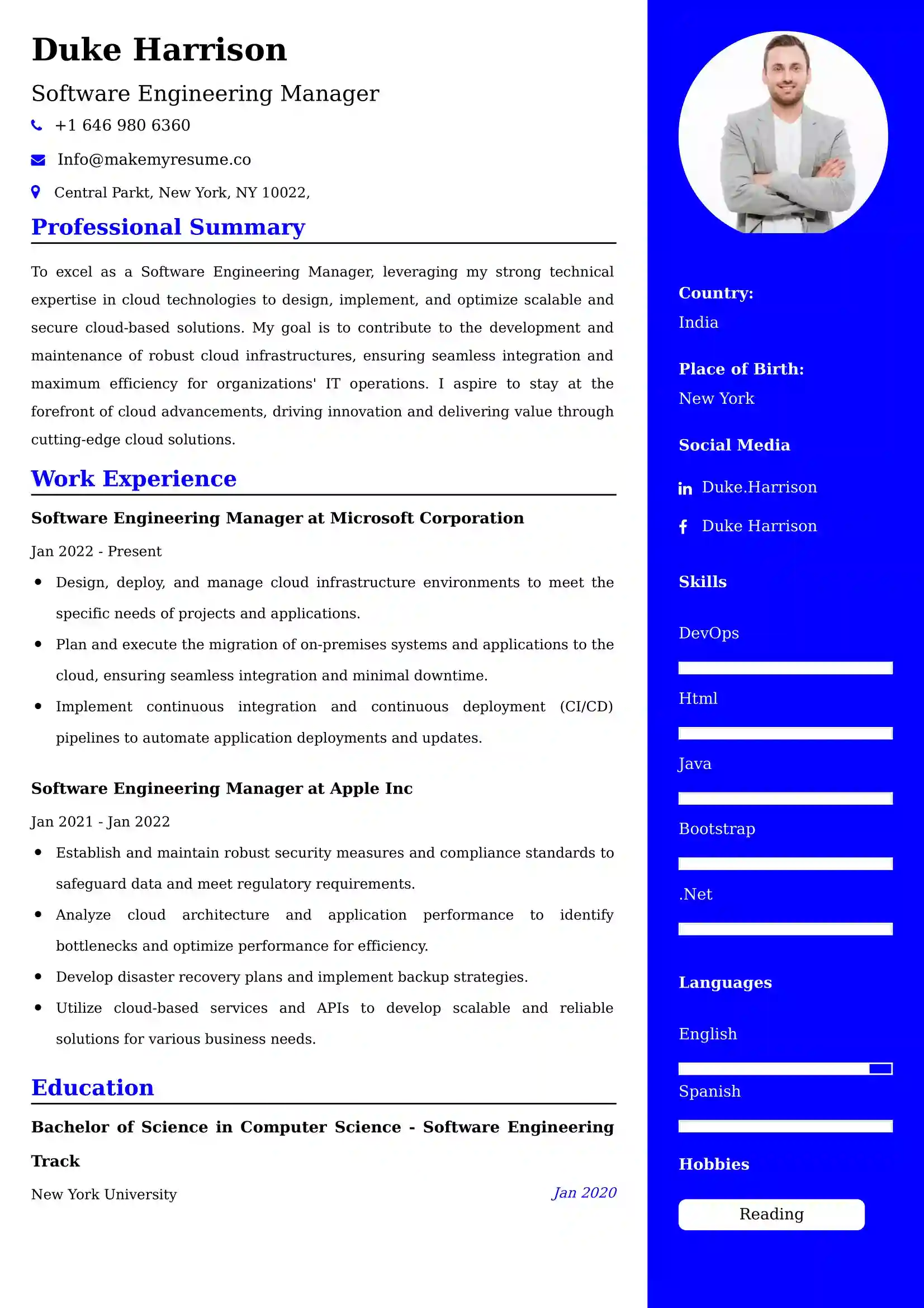 Software Engineering Manager CV Examples Malaysia