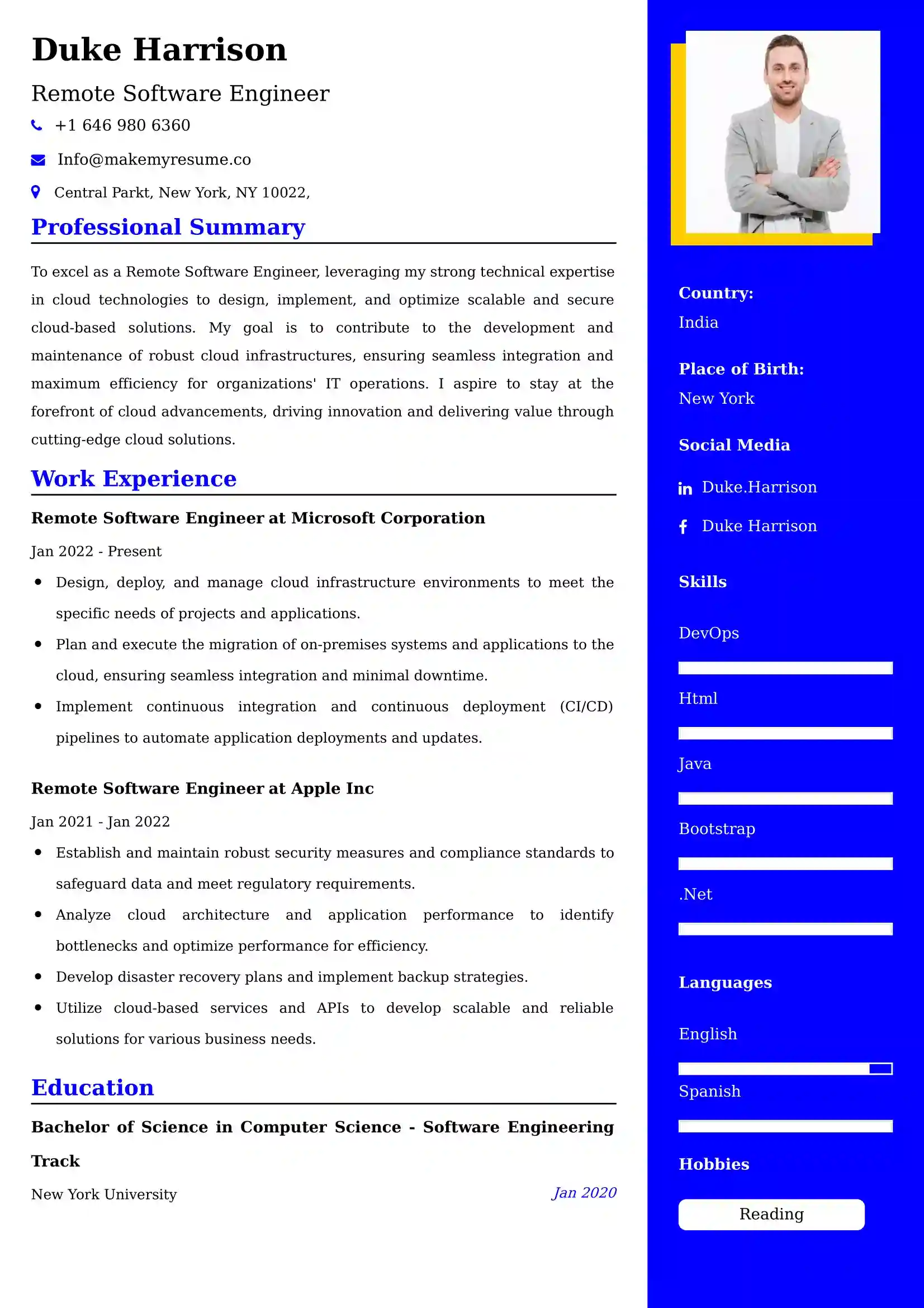 Remote Software Engineer CV Examples Malaysia