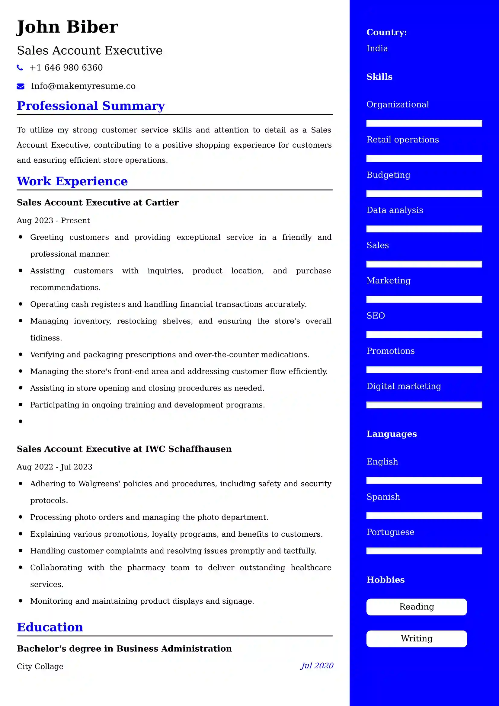 70+ Professional Sales Resume Examples, ATS Template